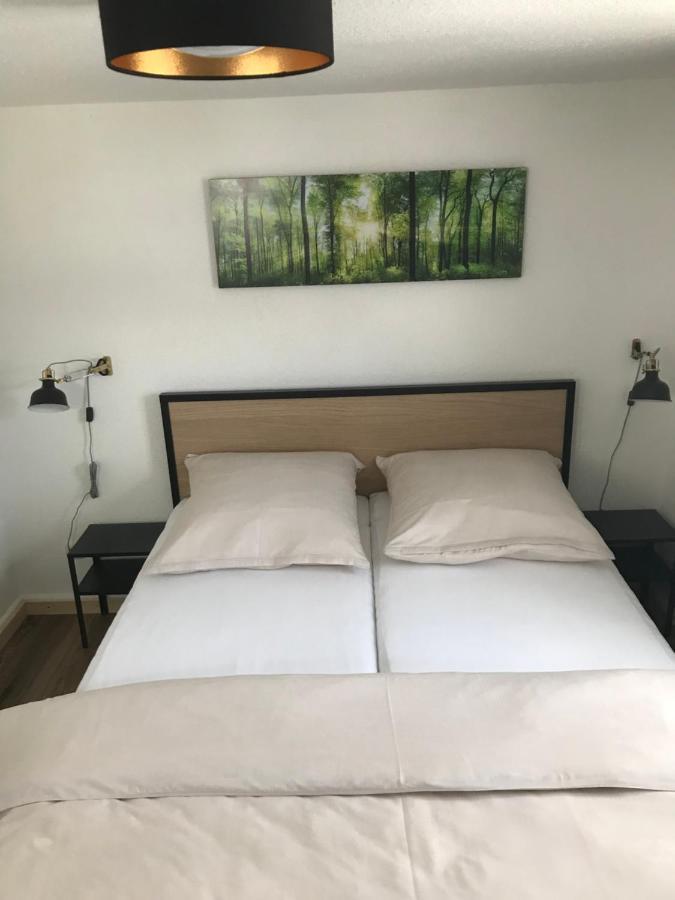 הוילה באד מינסטראייפל Ferienhaus Eifeldoemchen מראה חיצוני תמונה